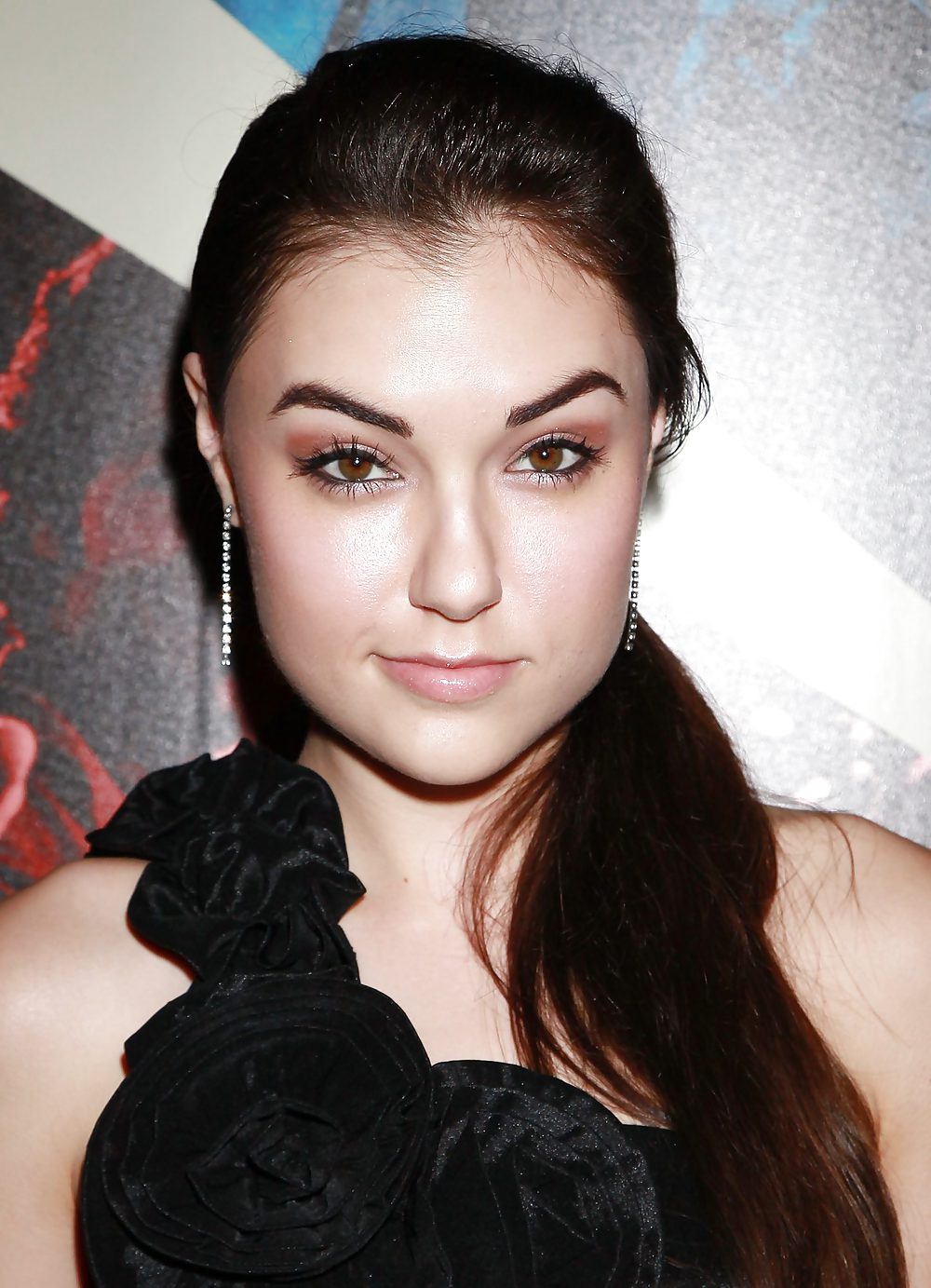 The Hot Enticing and Perfect-attempting Sasha Gray #9357359