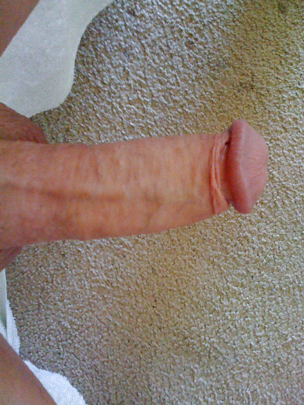 My cock #3713517