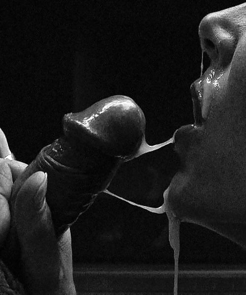 Another BW Galerie #3572505