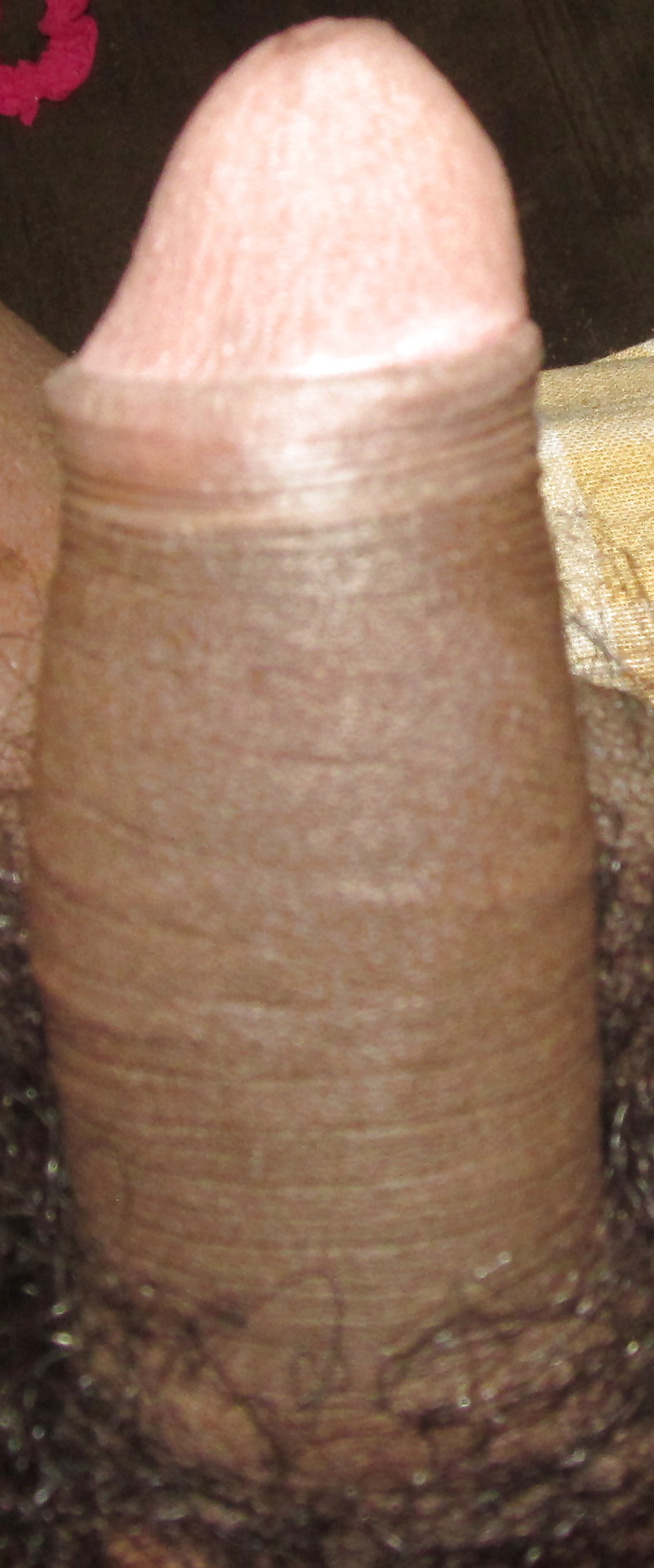 My Cock, Please Feel Free To Comment #16239492