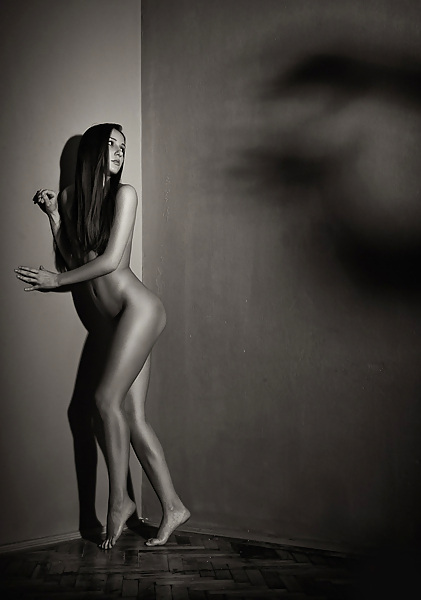 Form and Light #9087114