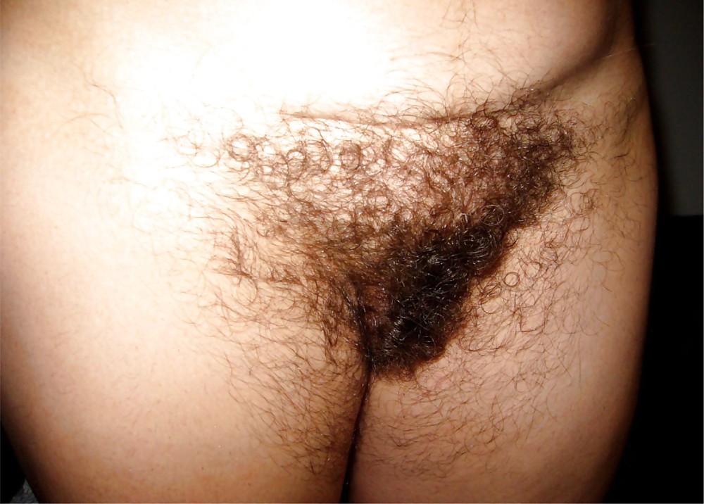 HAIRY AMATEUR 31 #1759991