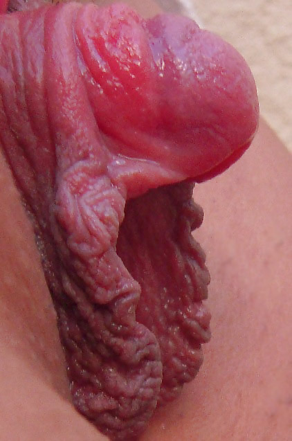 My CLIT I could fuck you with this after a good pumping #8495985