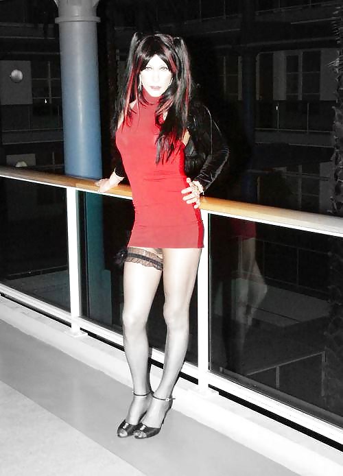 Cd's y ladybois
 #18095004