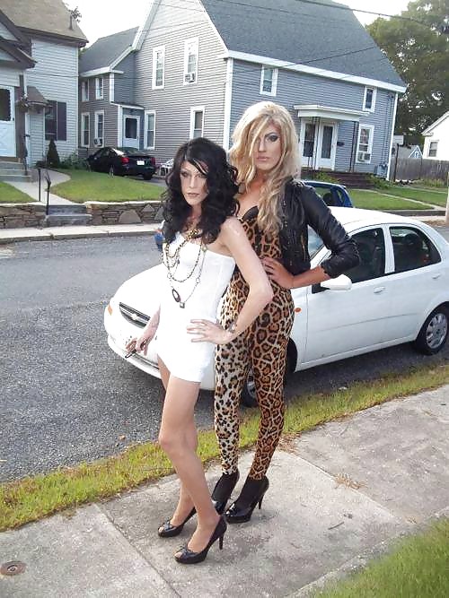 Cd's y ladybois
 #18095034