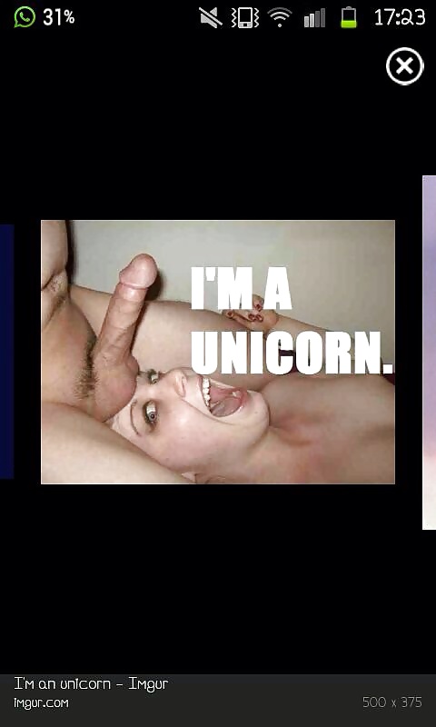 Unicorn
 #19143356