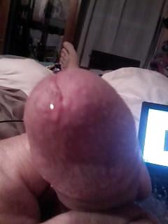 Cock #3960557