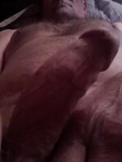 Cock #3960562