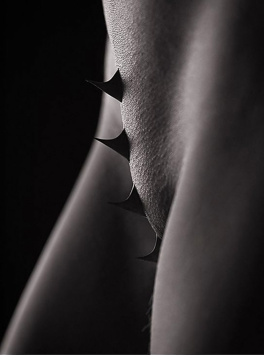 Erotic Lips - Session 6 #4770331
