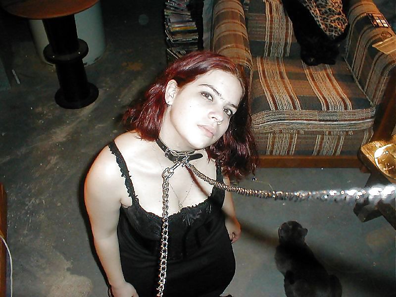 Pet2 #10990470