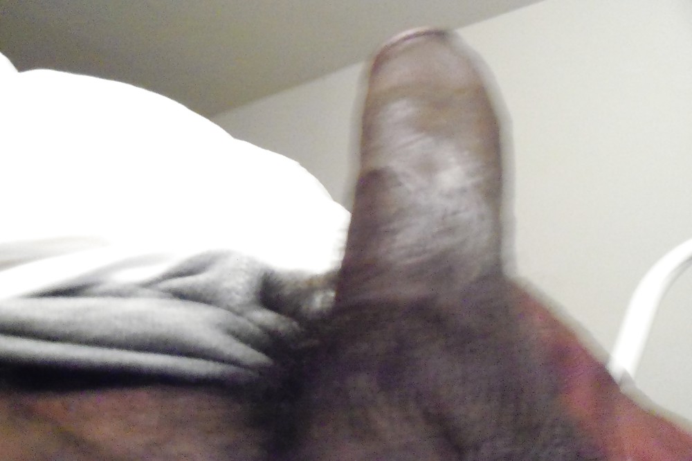 Hahn Pic #20263374
