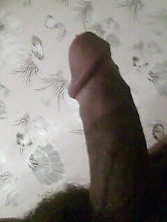 Dick Shots #3651067