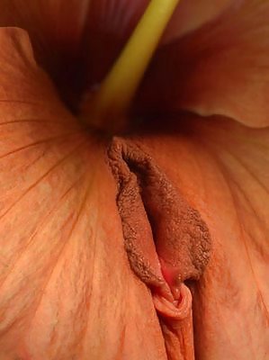 Erotic Flowers #16758265