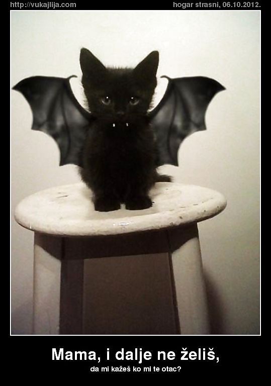 Svasta...
 #13328980