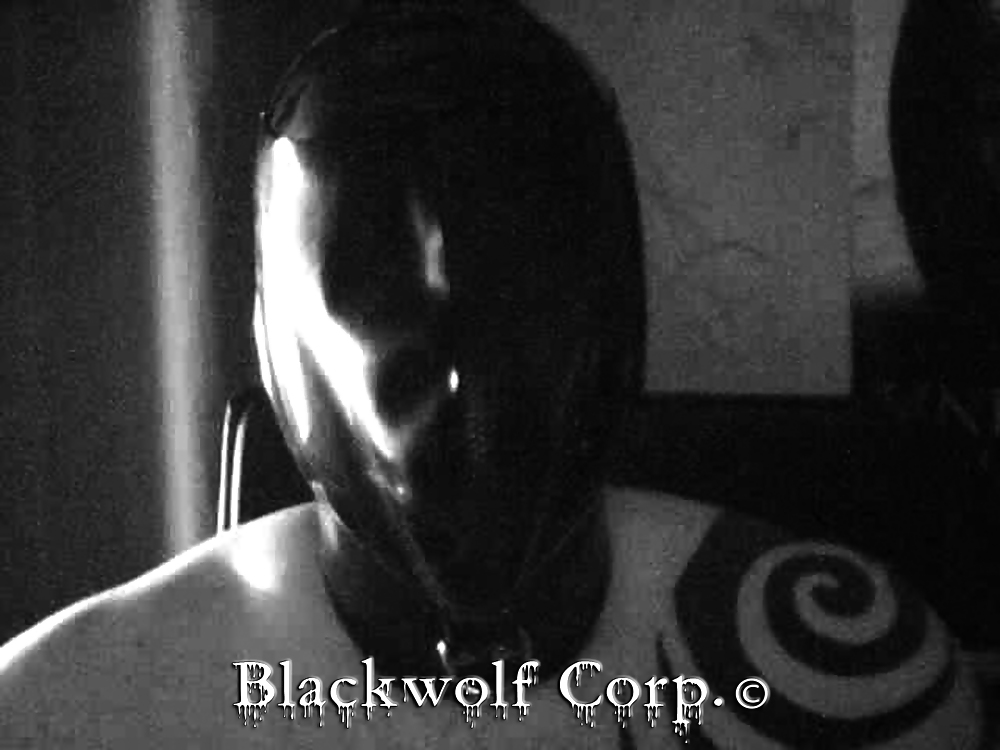 B1ackwolf as Rubber Sub Toy #10464003