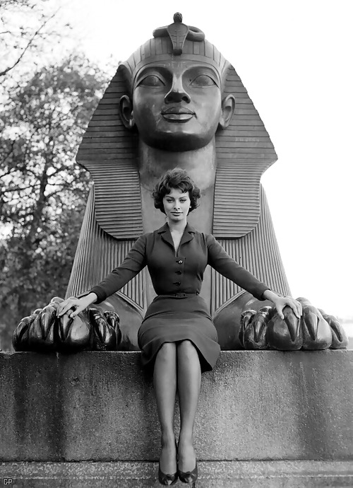 Sophia Loren - Sex-Symbol über Vergleichen #12215521