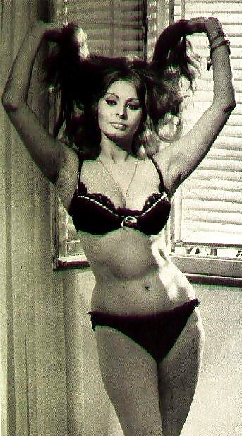 Sophia Loren - Sex-Symbol über Vergleichen #12215615