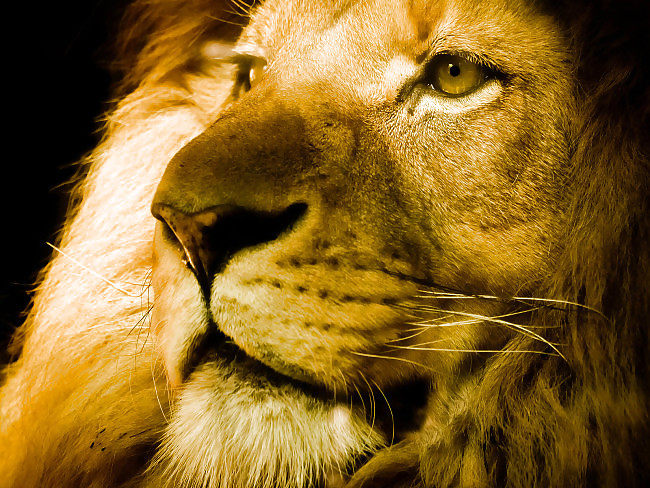 4 Jahre ohne Frau bedeutet jetzt gibts became neues #9307360