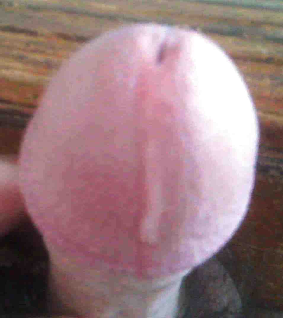 My pre cum dick , write me your comment !
 #1929922