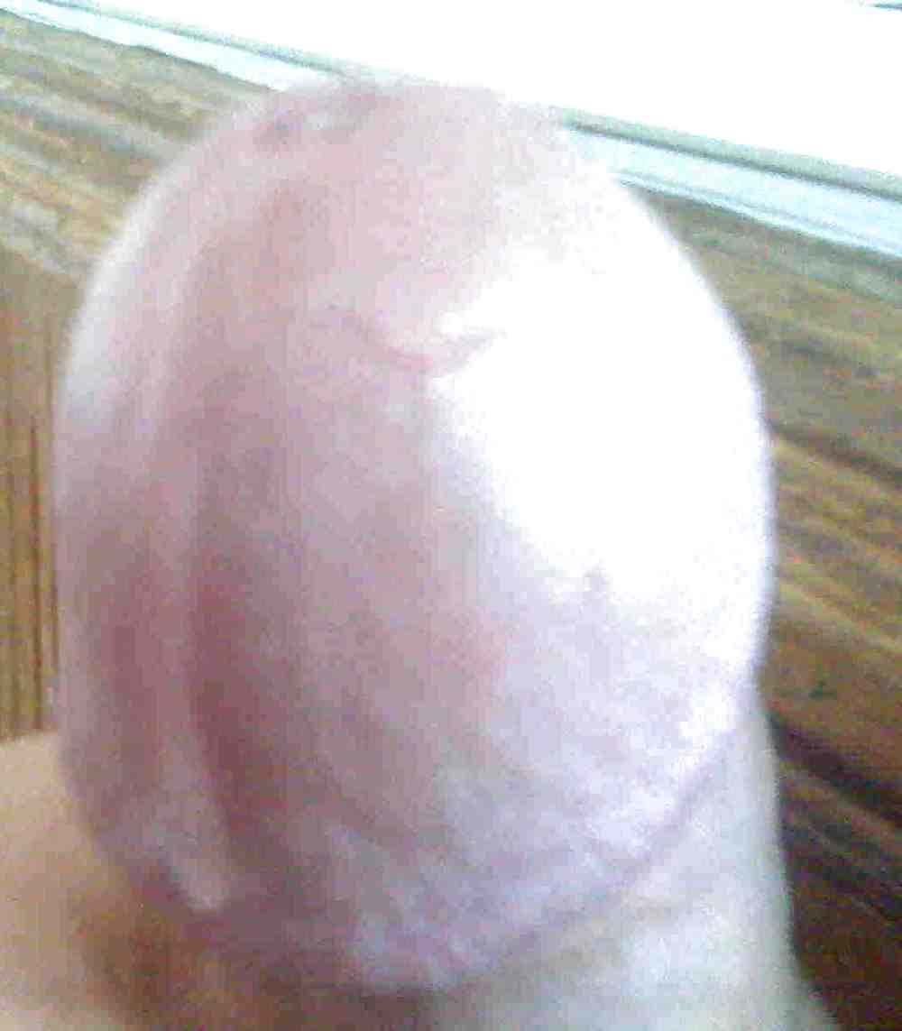 My pre cum dick , write me your comment !
 #1929932