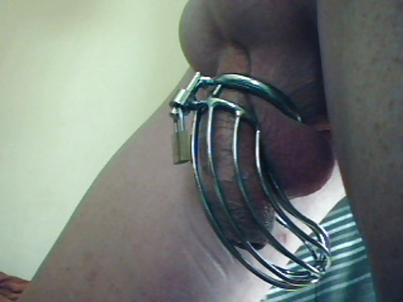 Nuevo cockcage
 #14096944