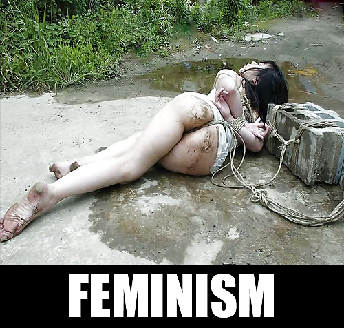 Le Féminisme (superpervert) #13820856