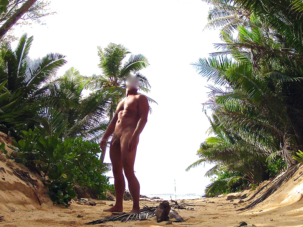 Public nudity on a tropical island #22812256
