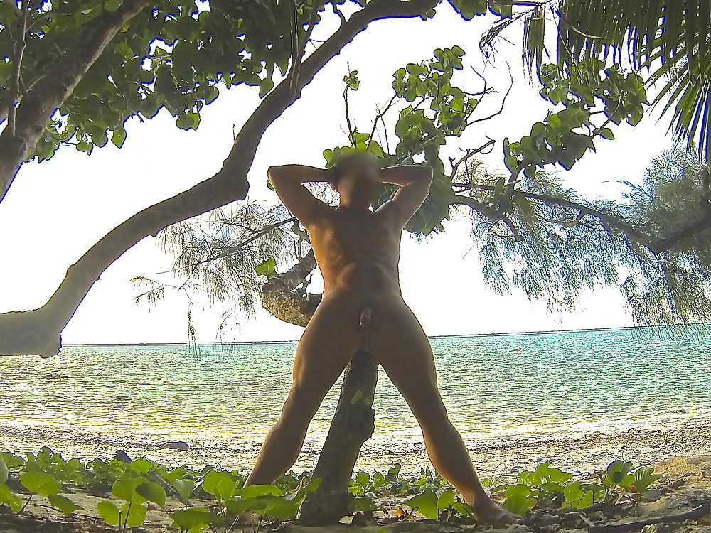 Public nudity on a tropical island #22812296