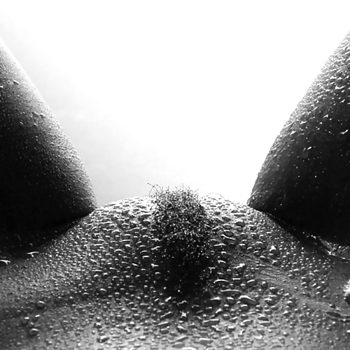 Yummy views for me (AMYKISS-COLLECTION)