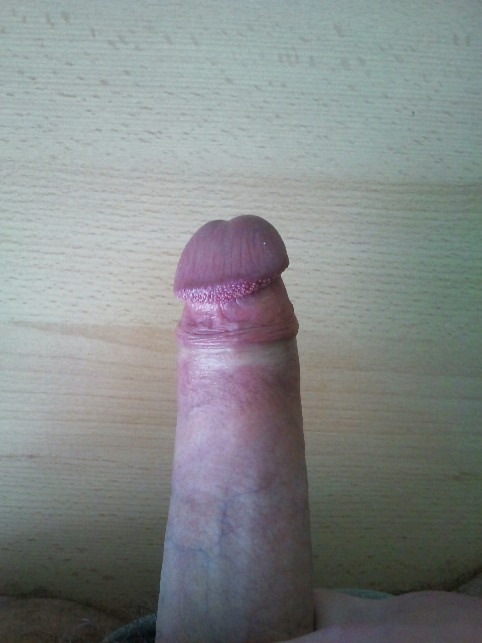 My penis #10504217