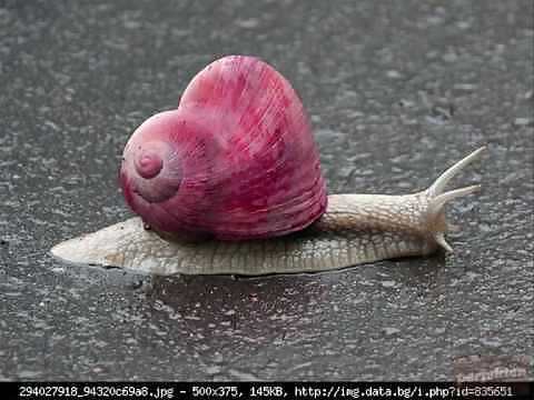 Hola sexy si
 #17675102