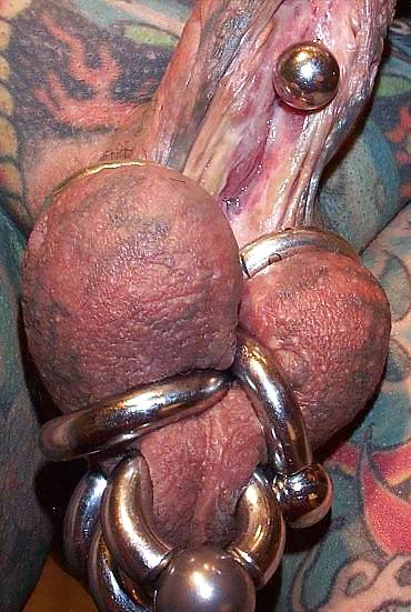 Tattooed and pierced dicks #3081578