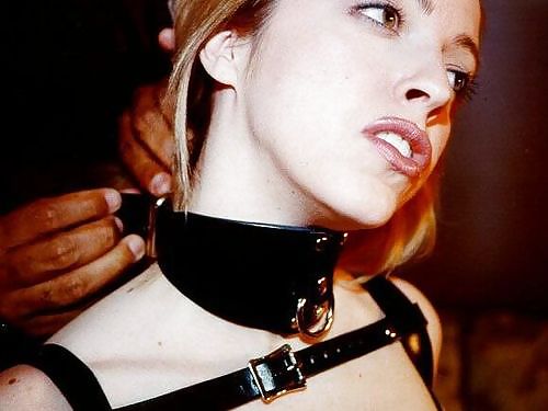 Collared 3! #9624047