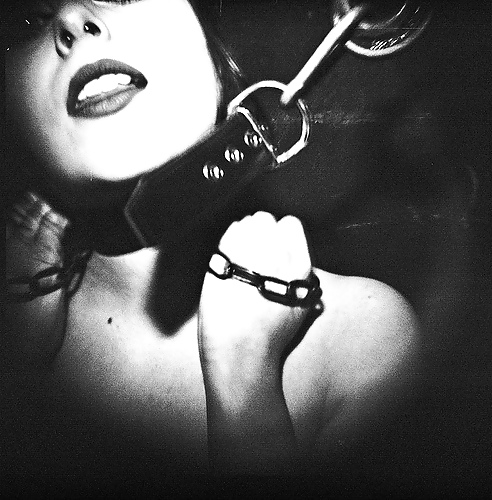 Collared 3! #9624064