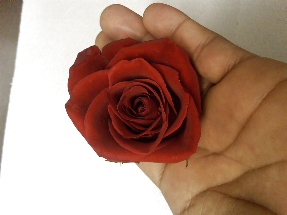 Mis calenturas
 #4779846