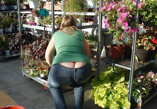 Muito mais bundas 2 #4322729