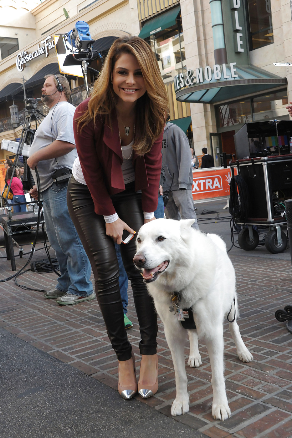 Maria Menounos - Süße Griechische Badonkadonk In Leder #18532144