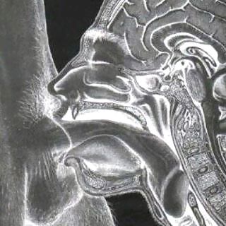 もっと見る
 #6146091