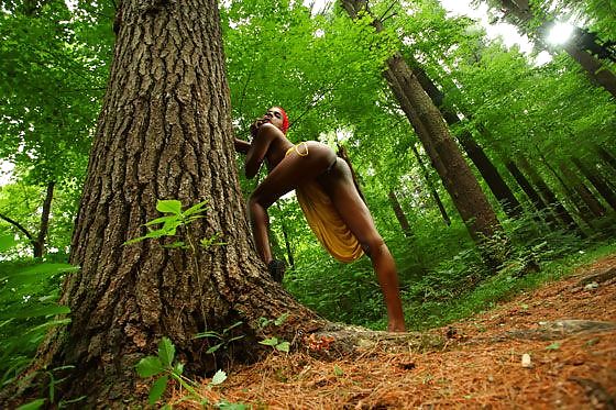 Fifi in una foresta in Pennsylvania
 #1048650