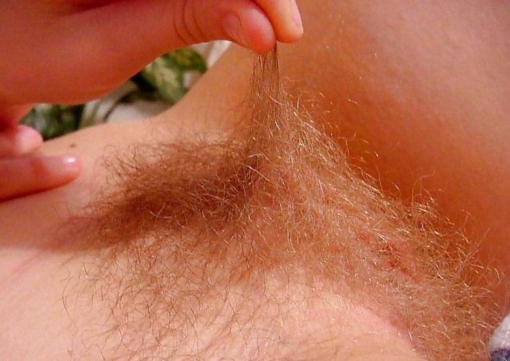 Hairy Blondes and Red #921891