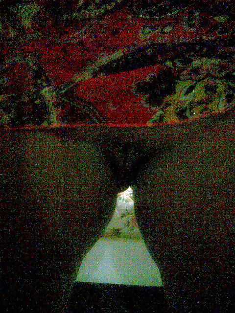 My ex Nadia #12041349