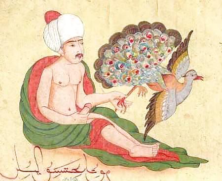 Drawn Ero and Porn Art 1 - Indian Miniatures Mughal Period #5489280