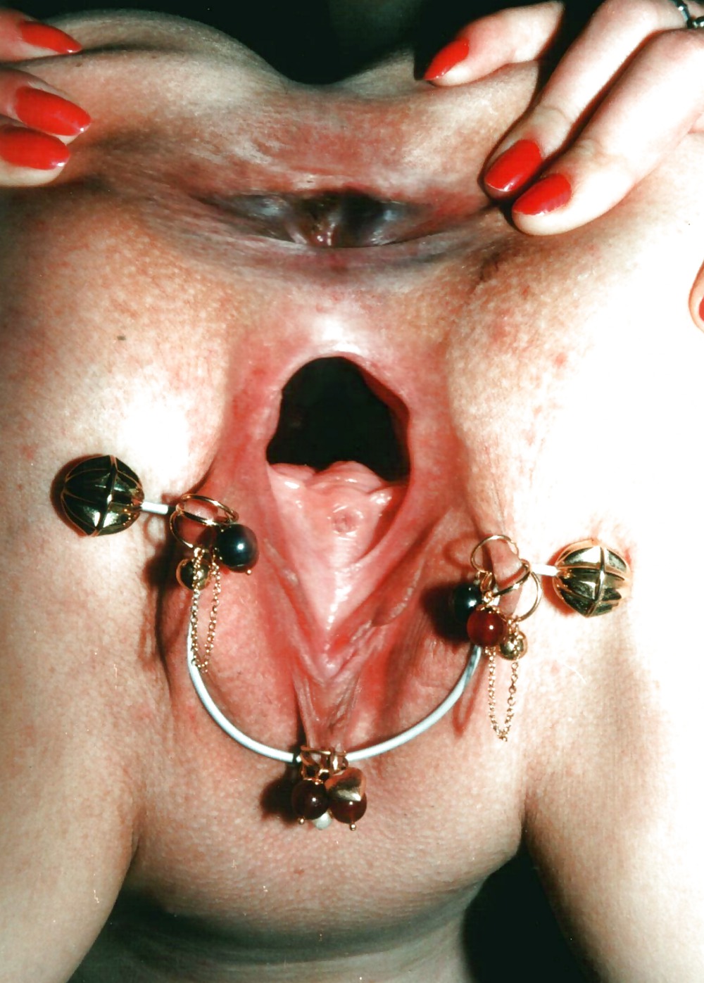 EXPOSEE CHATTE OUVERTE #12466006