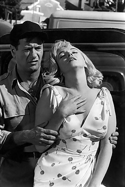 Marilyn and The Misfits #12886168