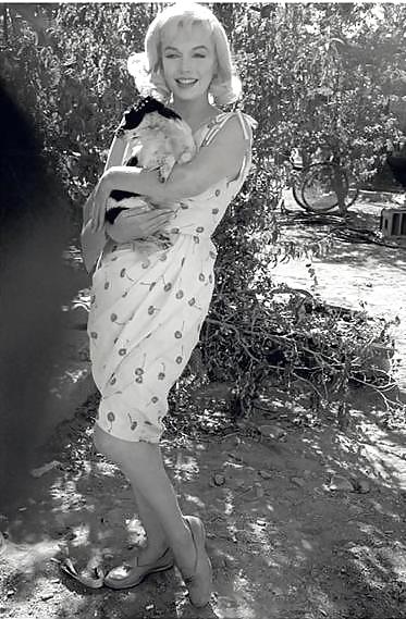 Marilyn and The Misfits #12886244