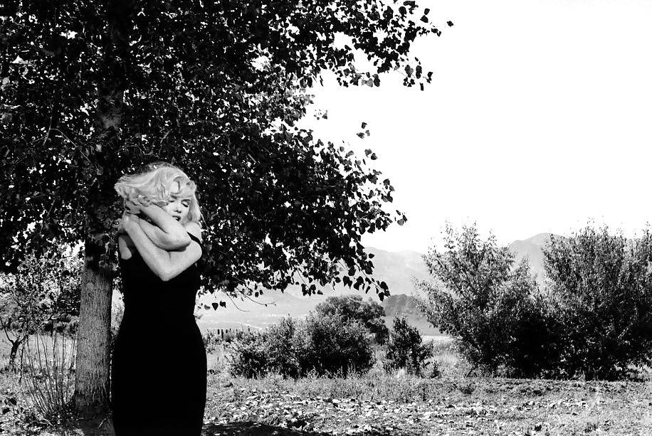 Marilyn and The Misfits #12886381