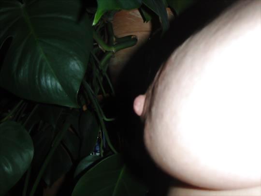 Big nipples #14048457