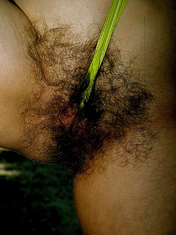 Hairy Bush in your Face 2 #2737929