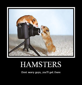 Hamster-Club #7886038