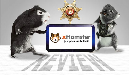 Hamster-Club #7886062